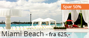 miami-beach-mondrian